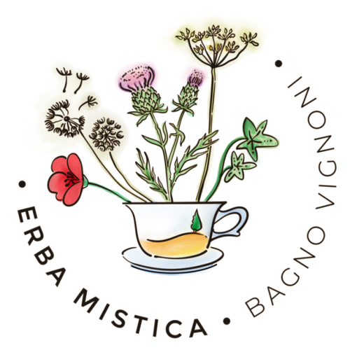 ERBA MISTICA